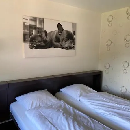 Hotel Tanneneck 2*